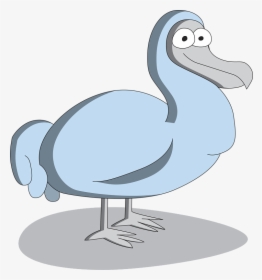Transparent Dodo Clipart - Duck, HD Png Download, Free Download