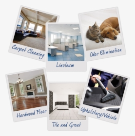 Carpet Cleaning Madison Wi - Interior Design, HD Png Download, Free Download