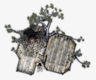 Tree, HD Png Download, Free Download
