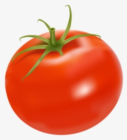 Plum Tomato Chicken Salad Bush Tomato Clip Art Tomato - Tomato Fruit Clip Art, HD Png Download, Free Download