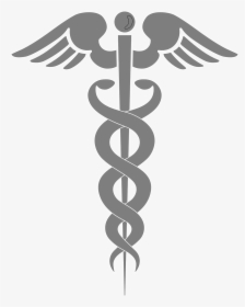 Aesulapian Staff 306238 - Clip Art Physician Assistant, HD Png Download, Free Download