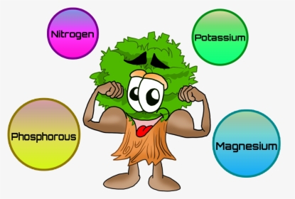 Nutrients For Plants Clip Art - Plant Nutrition Clip Art, HD Png Download, Free Download