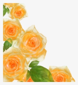 Flower Beach Rose Picture Frame Watercolor Painting - Yellow Flower Watercolor Border, HD Png Download, Free Download