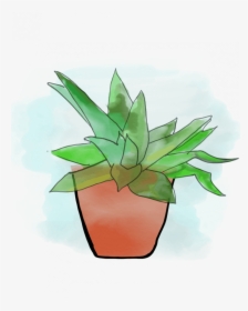 Houseplant, HD Png Download, Free Download