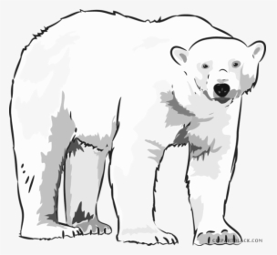 Clip Art Graphic Free Library - Polar Bear Black And White, HD Png Download, Free Download