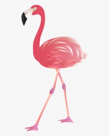 Flamingo Clipart Transparent Png - Transparent Background Pink Flamingo Clipart, Png Download, Free Download