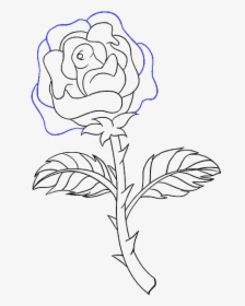 Easy To Draw Roses - Rose With Thorns Drawing Easy, HD Png Download, Free Download