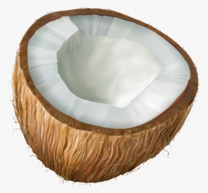 Coconut Clipart Transparent Background, HD Png Download, Free Download