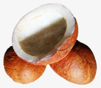 Coconut Dry Fruit Transparent, HD Png Download, Free Download