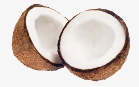 Coconut Hd Images Png, Transparent Png, Free Download