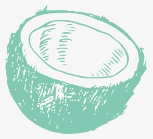 Coconut Black And White, HD Png Download, Free Download