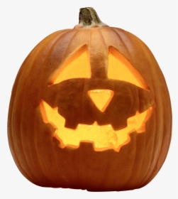 Halloween Pumpkin Png Image - Real Halloween Pumpkin Png, Transparent Png, Free Download