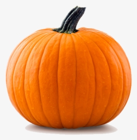 Orange Pumpkin, HD Png Download, Free Download