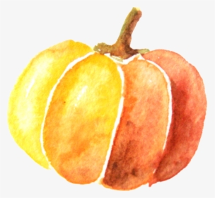Pumpkin Watercolor Painting - Transparent Background Pumpkin Clipart, HD Png Download, Free Download