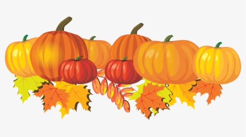 Real Pumpkin Png, Transparent Png, Free Download