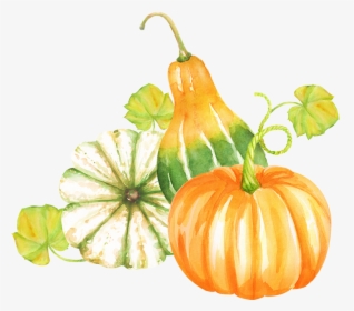 Foods,vegetarian Food,clip Plant - Pumpkin Fall Clipart Png, Transparent Png, Free Download