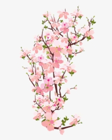 Branch Tree Cherry Blossom Clip Art - Cherry Blossom Branch Transparent, HD Png Download, Free Download