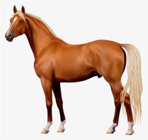 Brown Horse Png Clipart - Horse Png, Transparent Png, Free Download