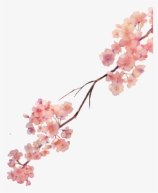 #sakura #flower #watercolor #petals #nature - Watercolor Sakura Flowers Png, Transparent Png, Free Download