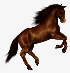 Download Horse Png Transparent Images Transparent Backgrounds - Transparent Background Horse Png, Png Download, Free Download