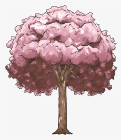 Transparent Sakura Clipart - Cherry Blossom Anime Tree, HD Png Download, Free Download