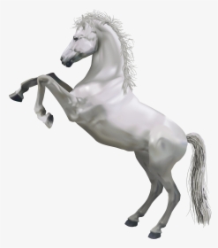 Horse Png Pic - White Horse Png, Transparent Png, Free Download