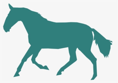 Gaited Horse - Png Files Horse, Transparent Png, Free Download