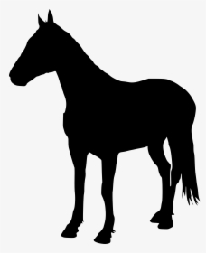 Horse Png Background Image - Free Horse Silhouette Png, Transparent Png, Free Download