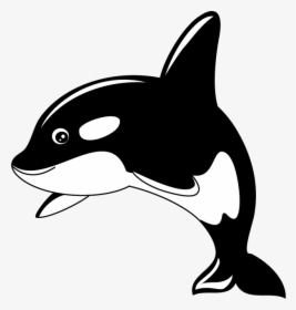 Fountain Clipart Whale - Cartoon Killer Whale Clipart, HD Png Download, Free Download