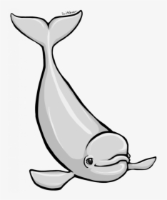 Transparent Cute Whale Png - Beluga Whale Clip Art, Png Download, Free Download