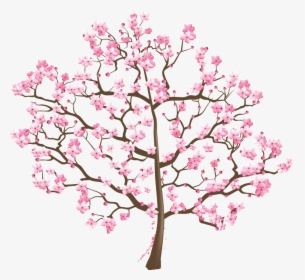 Transparent Cherry Blossom Png - Cherry Blossom Transparent Flowering Trees, Png Download, Free Download