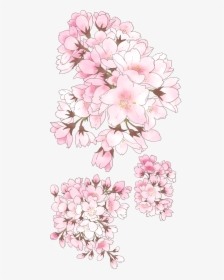 Transparent Cherry Blossom Clipart - Anime Cherry Blossom Drawing, HD Png Download, Free Download