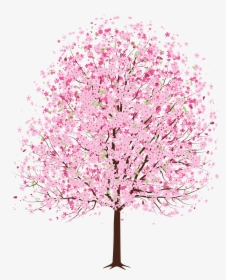 Cherry Blossom Png Transparent, Png Download, Free Download