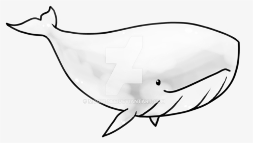 Drawing Transparent Cute - Whale Clipart Black And White Transparent, HD Png Download, Free Download