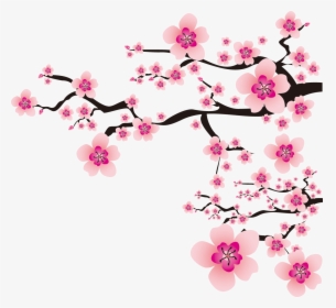 Sakura Png - Flower Sakura Png, Transparent Png, Free Download