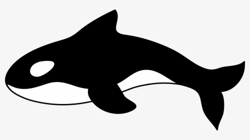 Com Orca Killer Whale Clipart 1 Clipart, HD Png Download, Free Download