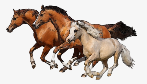Download Horse Png Transparent Images Transparent Backgrounds - Running Horses Png, Png Download, Free Download