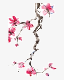 Japan Cherry Blossom Ink Wash Painting - Water Paint Cherry Blossom, HD Png Download, Free Download