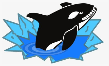 Cute Whale Clip Art Images Photos Pictures - Clipart Of Killer Whale, HD Png Download, Free Download