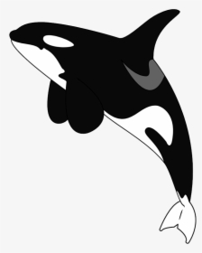 Killer Whale Png, Download Png Image With Transparent - Cartoon Killer Whale Transparent Background, Png Download, Free Download