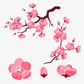 Cherry Blossom Petals Clipart 4 By Jared - Cartoon Cherry Blossoms Flower, HD Png Download, Free Download