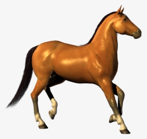 Transparent Horse Clipart - Background Horse Images Hd, HD Png Download, Free Download
