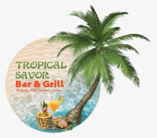 Transparent Palm Tree Top View Png - Tropical Savor Bar And Grill Logo, Png Download, Free Download