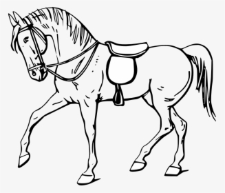 Walking Horse Outline - Clip Art Black And White Horse, HD Png Download, Free Download