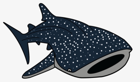 Cartoon Whale Png -cartoon Pictures Cartoonwjd Com - Whale Shark Cartoon Drawing, Transparent Png, Free Download