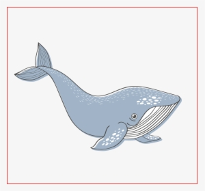 Forma Cuadarada Blue Whale - Blue Whale, HD Png Download, Free Download