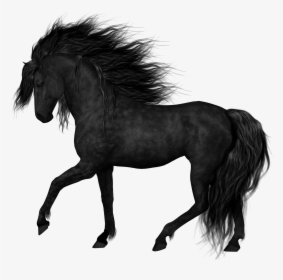 Black Horse Transparent Background, HD Png Download, Free Download