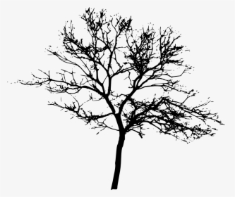 10 Tree Silhouettes - Tree Silhouette Png Transparent, Png Download, Free Download