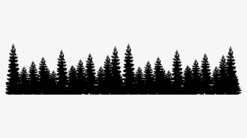 Forest Black Tree Png - Pine Tree Forest Silhouette, Transparent Png, Free Download