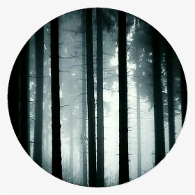 Transparent Forest Trees Clipart - Dark Forest Icon, HD Png Download, Free Download